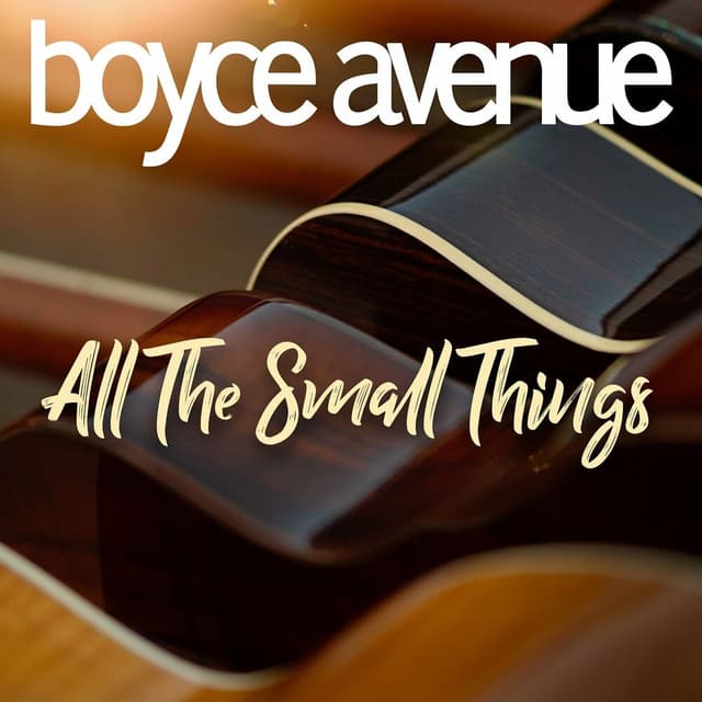 All the Small Things cover