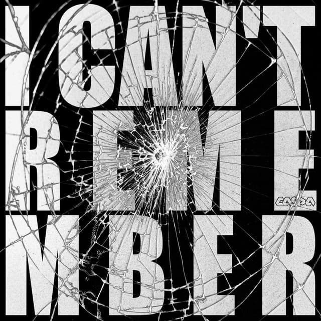 I Can't Remember cover
