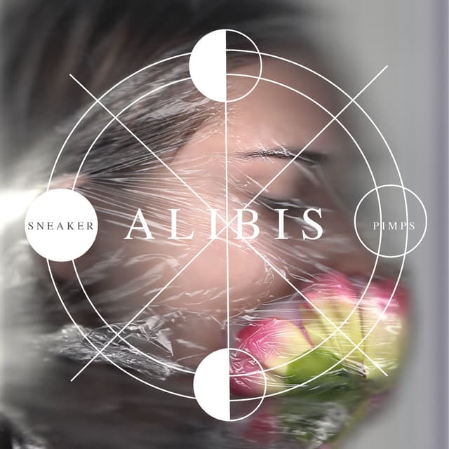 Alibis cover