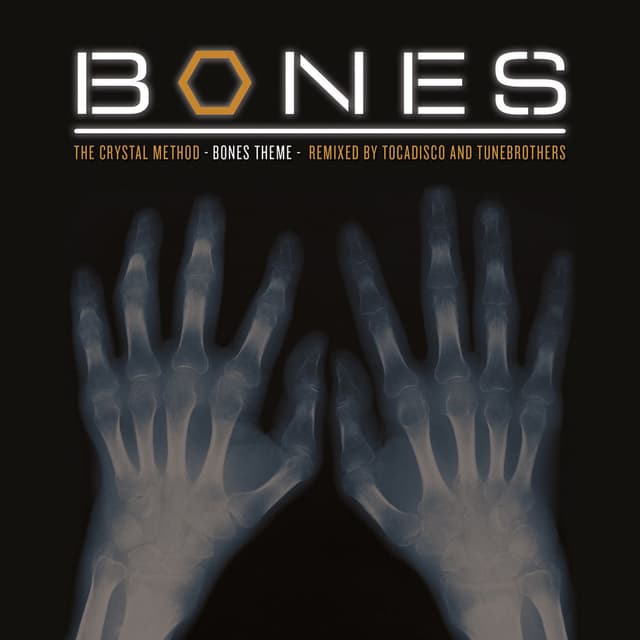 Bones Theme (Remixes) cover