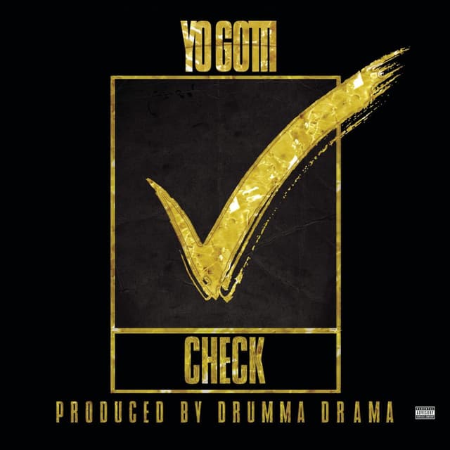 Check cover