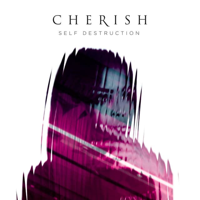 Self Destruction cover