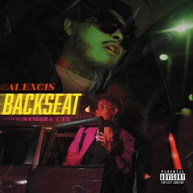 Backseat cover