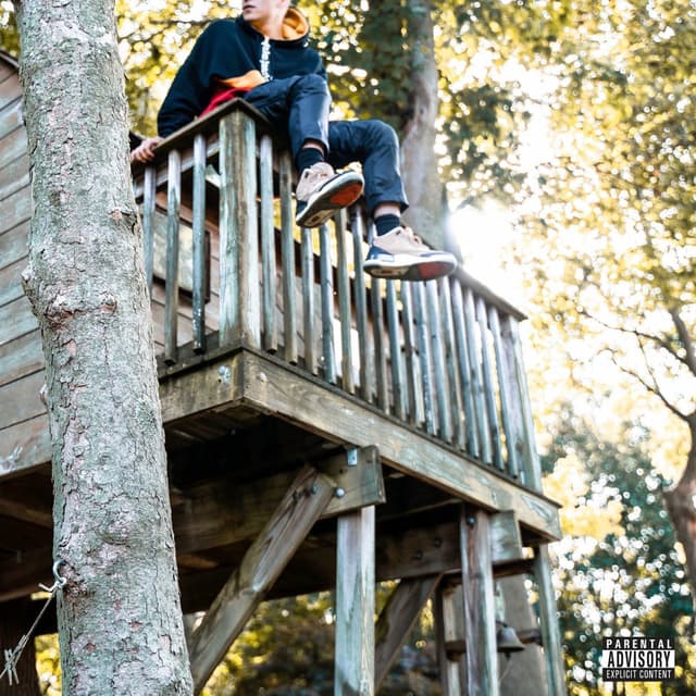 Treehouse cover