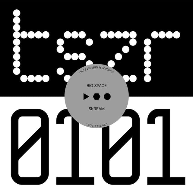Big Space cover
