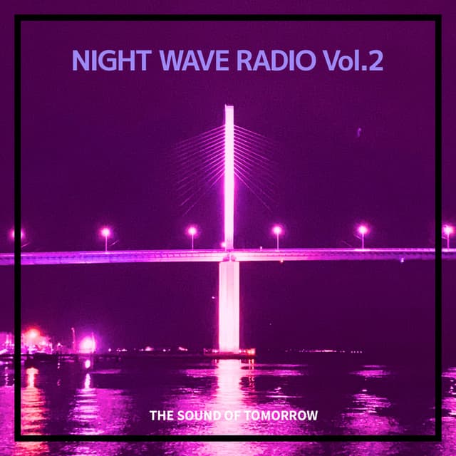 NIGHT WAVE RADIO (Vol.2) cover