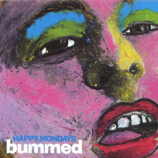 Bummed (Collector's Edition) cover