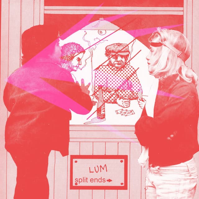 split ends cover