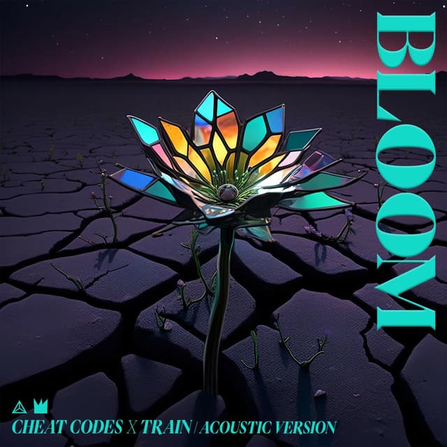 Bloom (Acoustic Version) cover