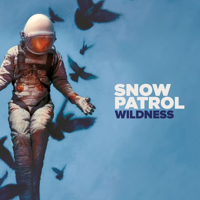 Wildness album cover