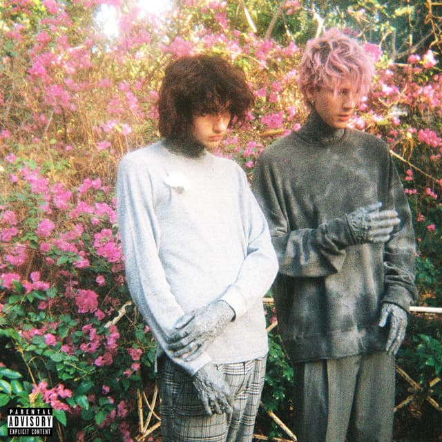 more than life cover