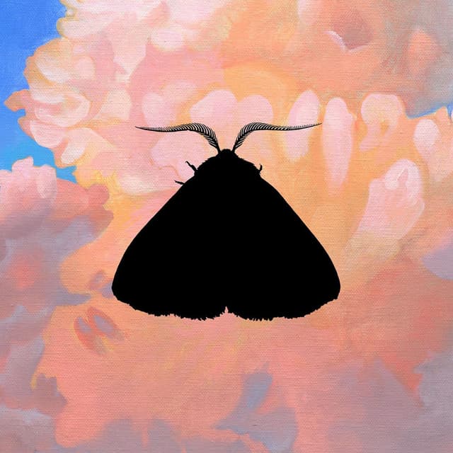 Moth to the Flame (Olga Bell Remix) cover
