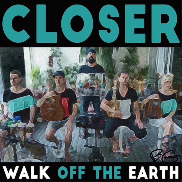 Closer cover