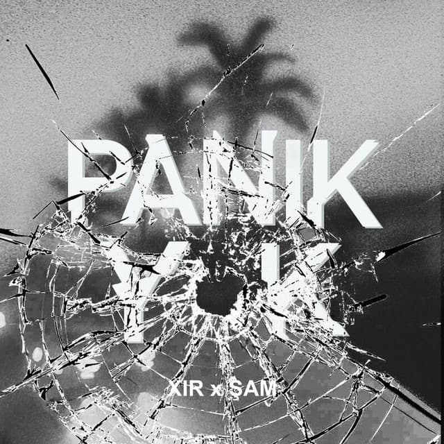 PANİK YOK cover