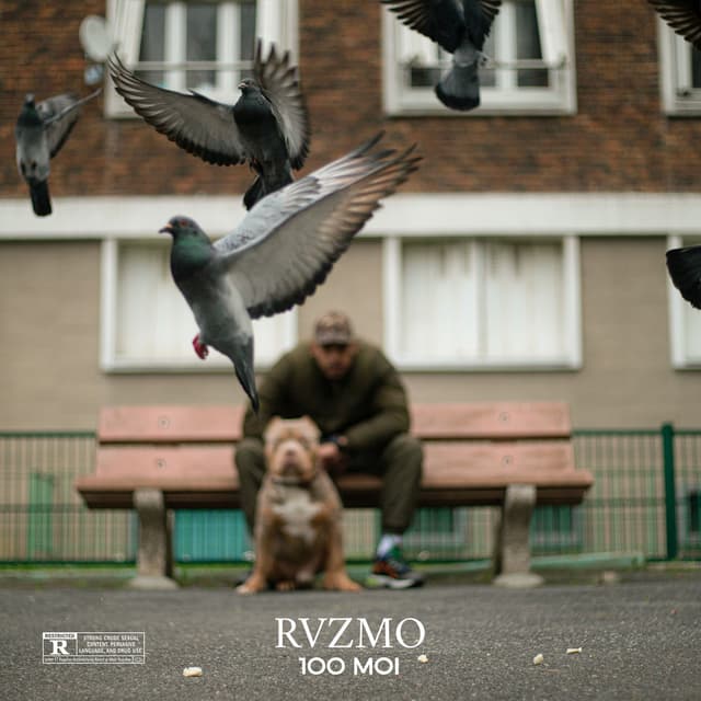 Nezo cover