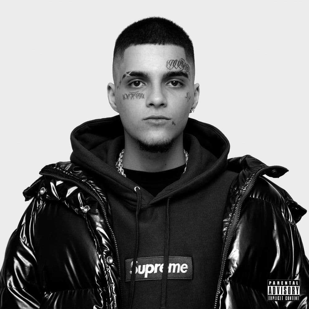 Vícios cover