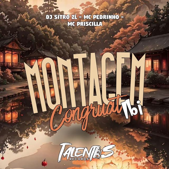 MONTAGEM CONGRUAT IBI cover