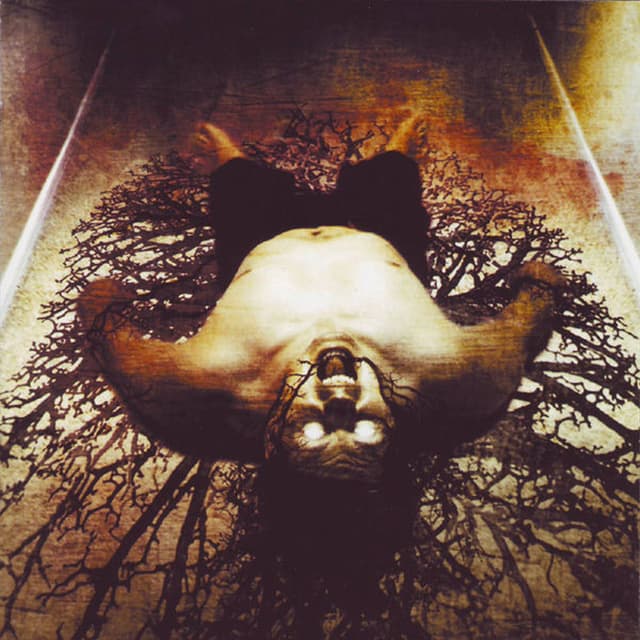 Can't Be Saved cover