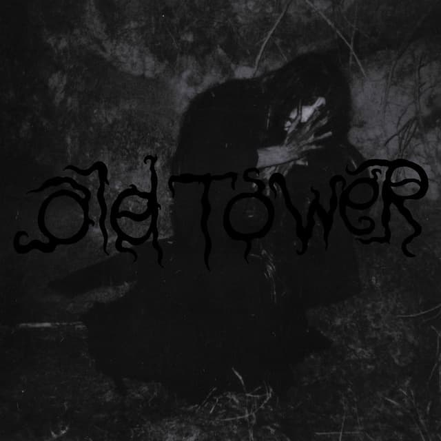 The Old King of Witches cover