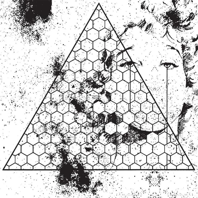 Betrayed in the Octagon album cover