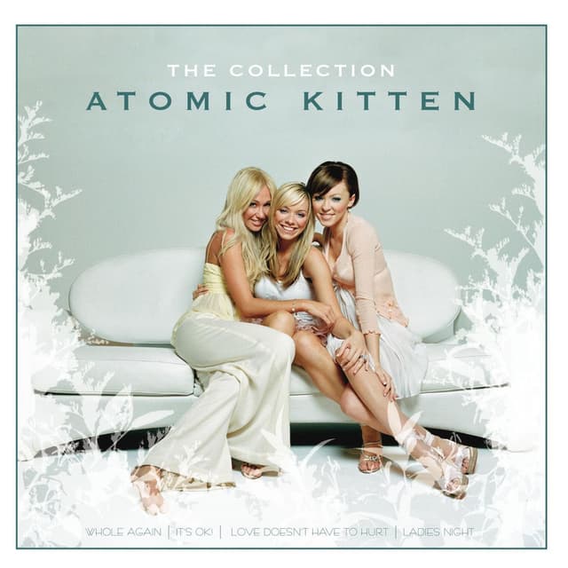 The Collection album cover