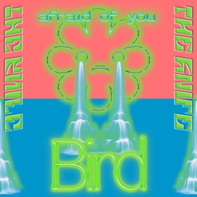 Bird / Afraid Of You cover