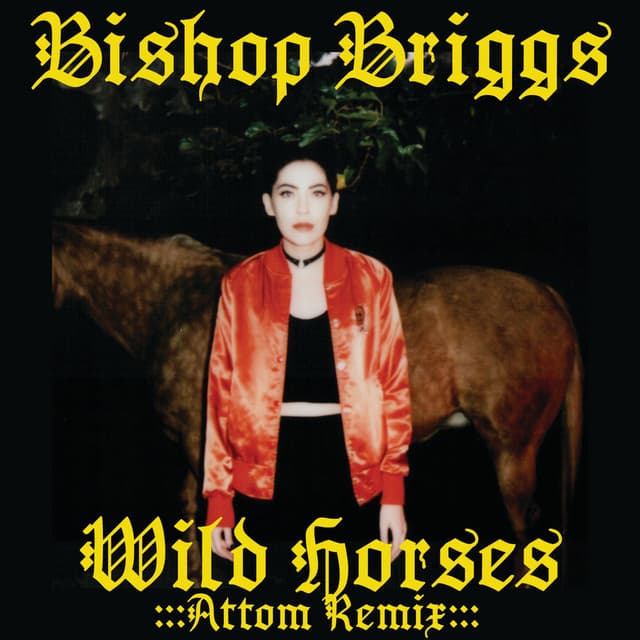 Wild Horses (Attom Remix) cover