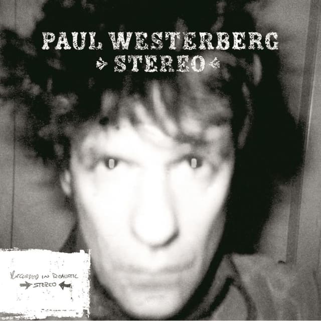 Stereo cover