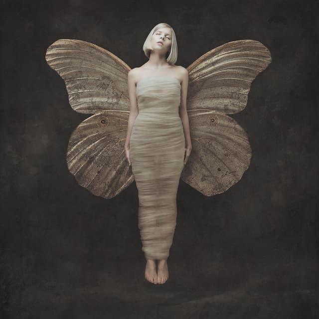 All My Demons Greeting Me As A Friend (Deluxe) cover