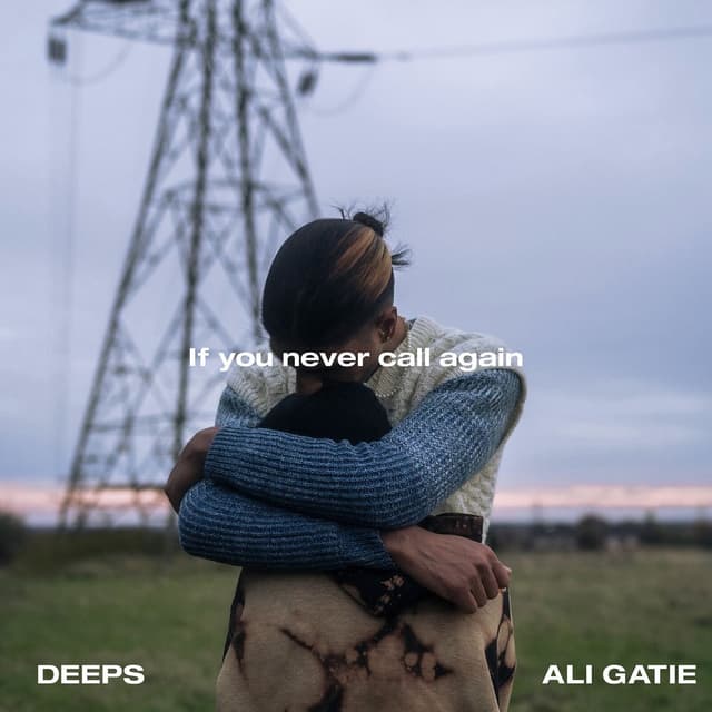 If You Never Call Again cover