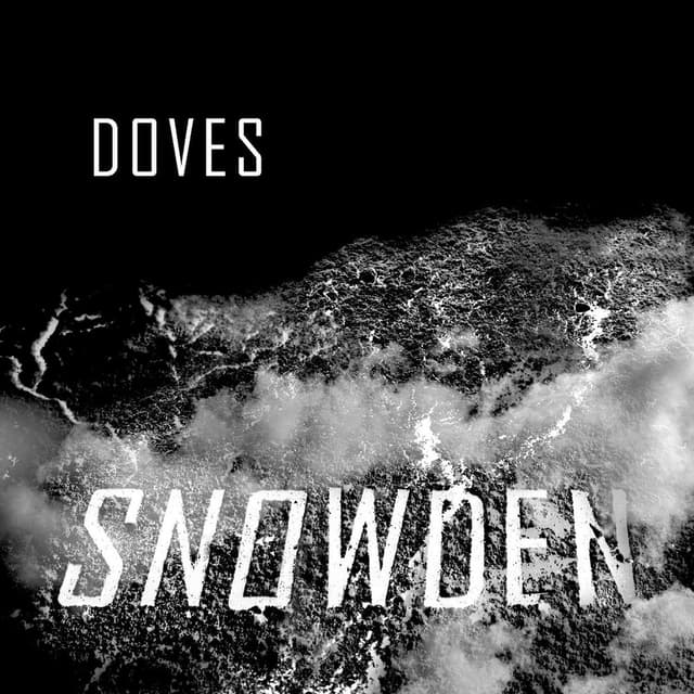Snowden cover