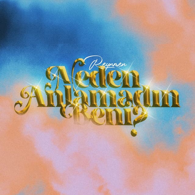 Neden Anlamadın Beni? cover