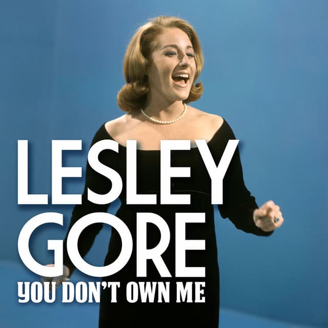You Don't Own Me cover