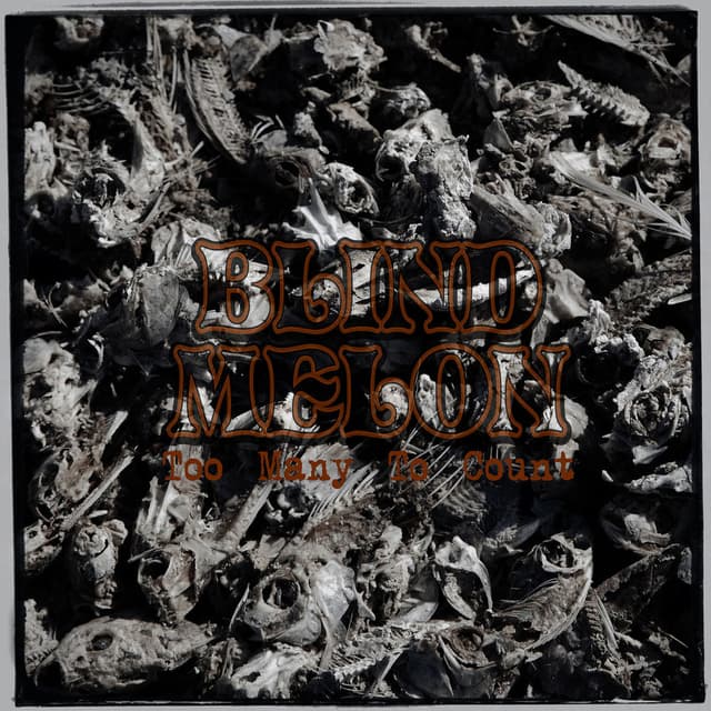 Too Many to Count album cover