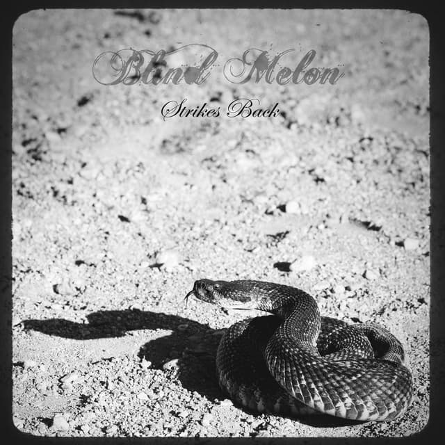 Strikes Back album cover