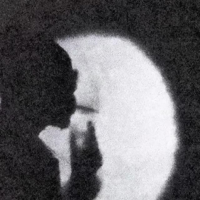 FROM WZRD cover