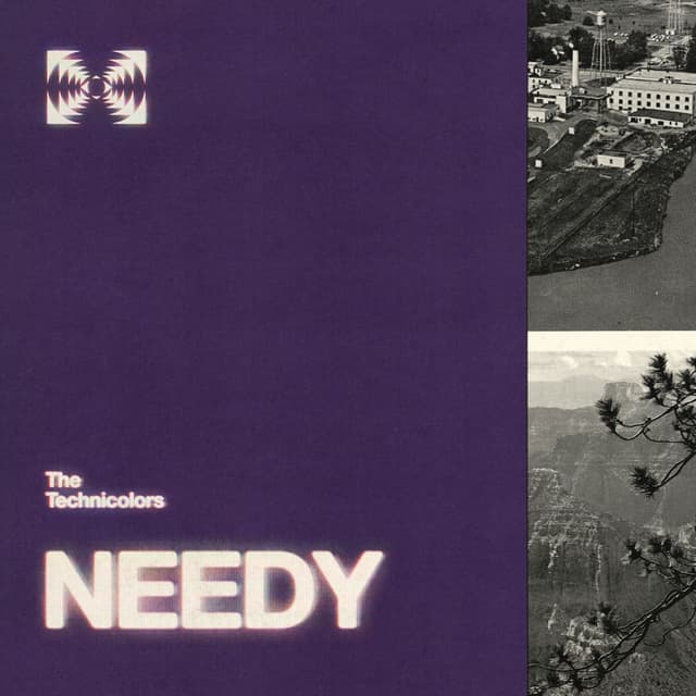 Needy cover