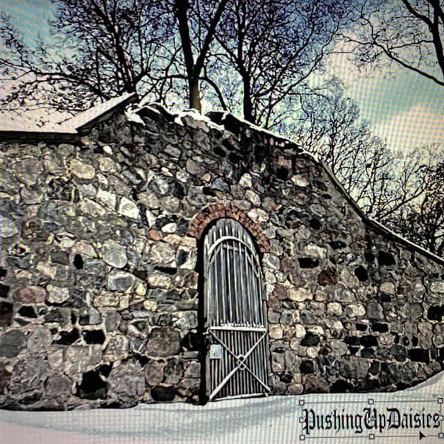 PushingUpDaisies cover