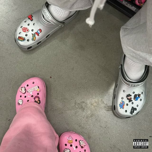 Passenger Princess (Jibbitz) cover