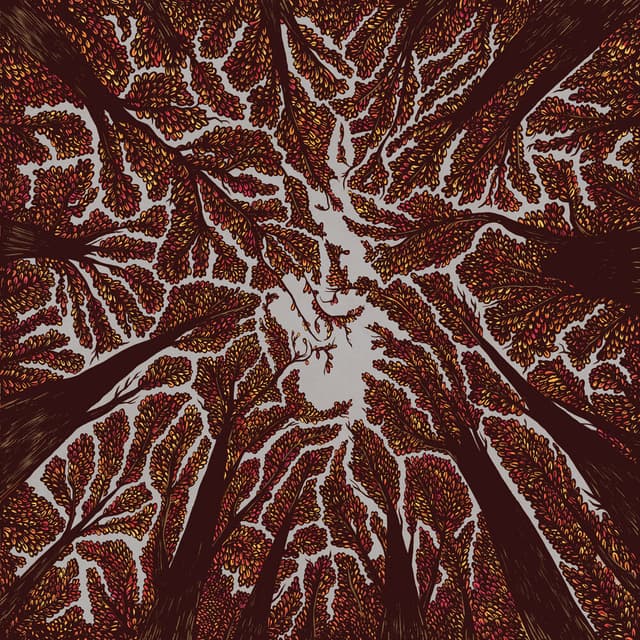 Crown Shyness album cover