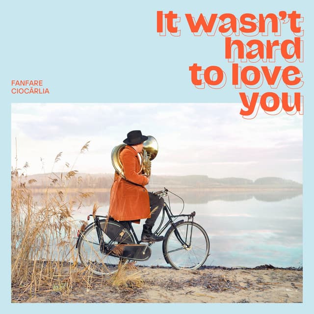 It Wasn't Hard to Love You cover