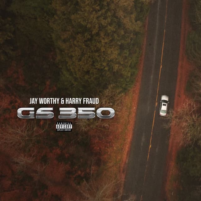 GS 350 cover