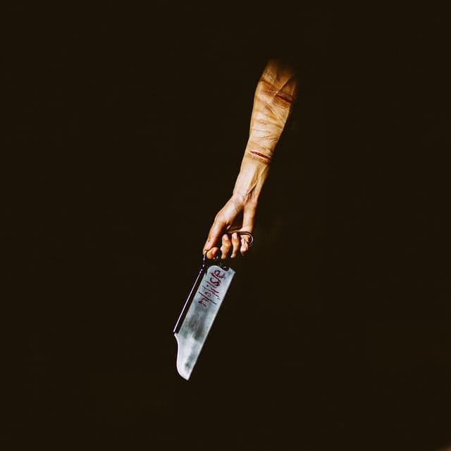 N / O / I / S / E album cover