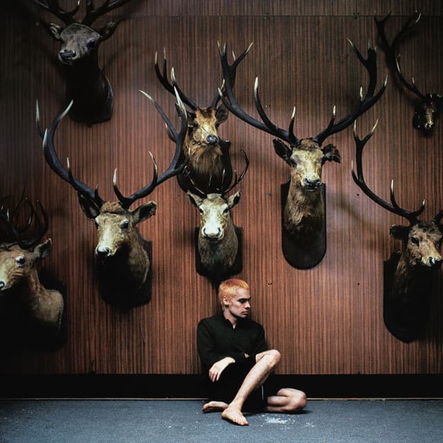 Deer Teeth cover
