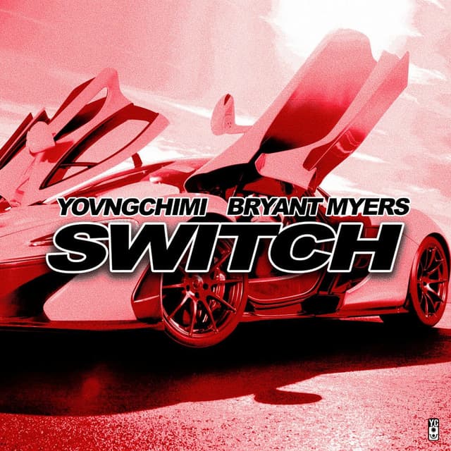 Switch cover