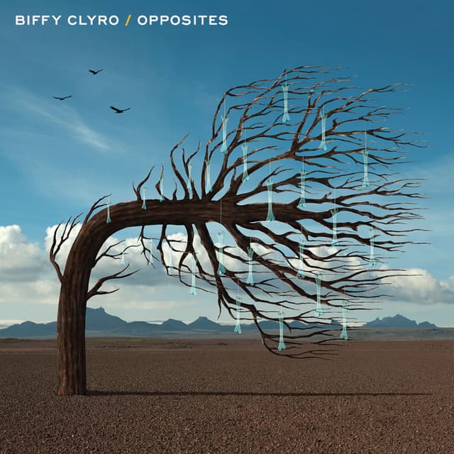 Opposites cover