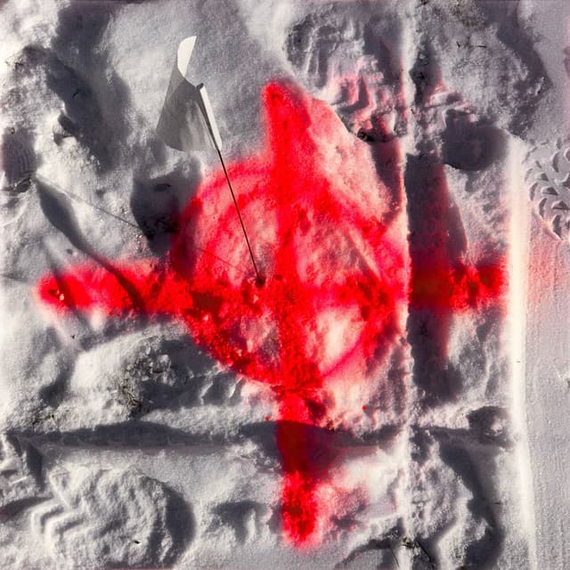 1st Light cover