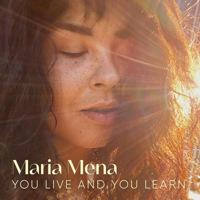 You Live and You Learn cover