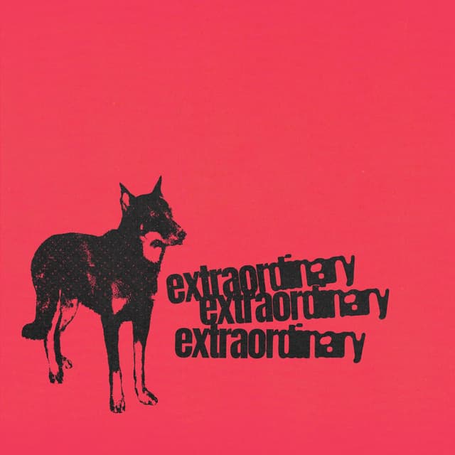 Extraordinary cover