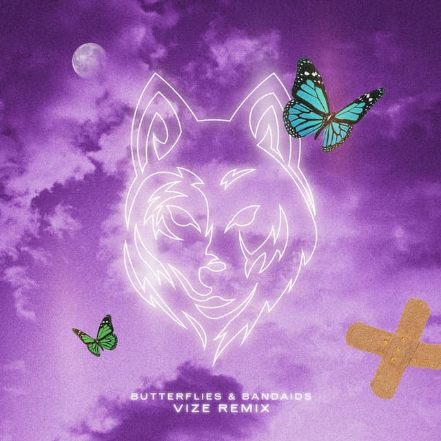Butterflies & Bandaids (VIZE Remix) cover